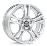 Platin P53 Silber